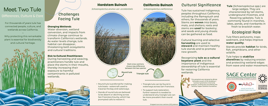Tule Pamphlet.png