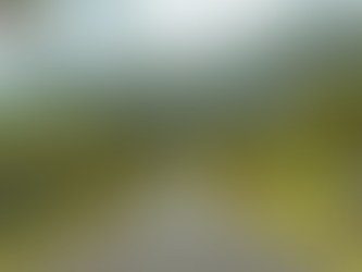 Is Mobile Car Wash Worth It in Oahu?