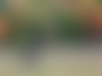 There’s room for everyone in nature