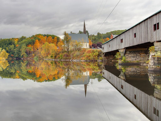 BLACKSTOCK by Tammy Phillips