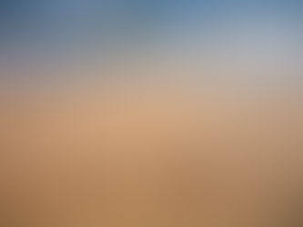 PONTYPOOL by Coralee MacDonald