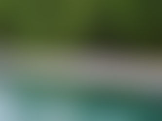 BLACKSTOCK by Tammy Phillips