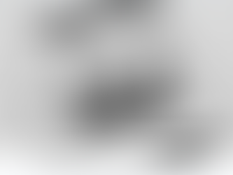 BREAKFAST OF CHAMPIONS