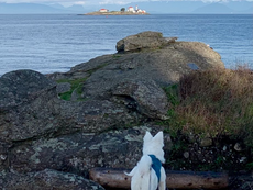 Gabriola's Beaches Are For the Wild at Heart