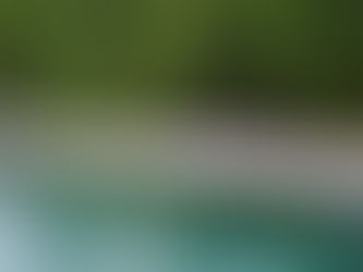 ZEPHYR & SANDFORD by Pat Asling