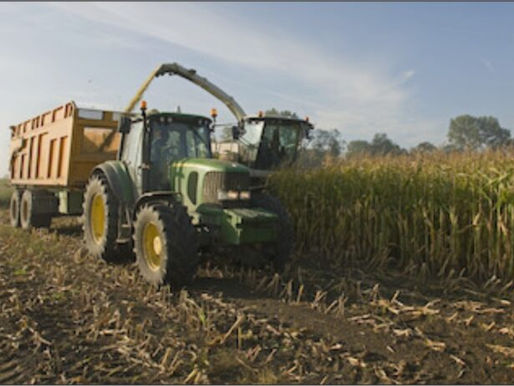 Covid-19 Uncertainty Forces Cancellation of IPM 2021