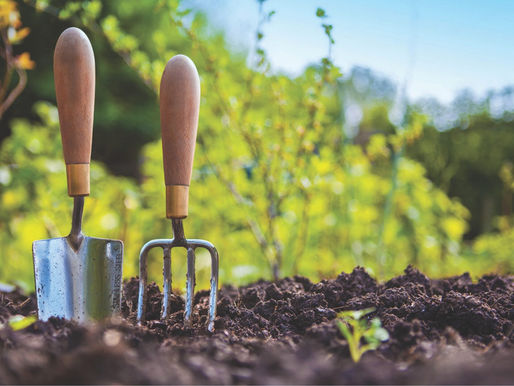 BLACKSTOCK by Tammy Phillips