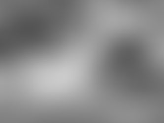 Who cuts your grass?