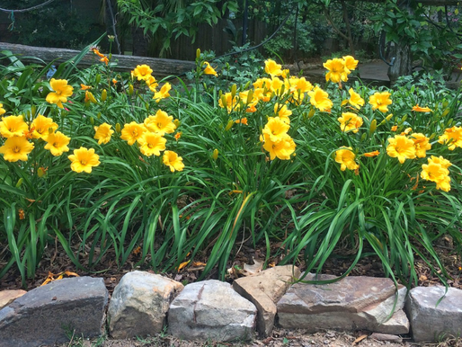 Pine Ridge Garden Club (Scugog’s Friendly Garden Club)