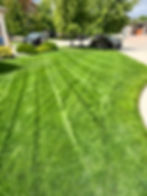 Lawncare