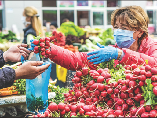 New Funding Will Improve Food Production and Safety in Ontario