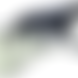 Green Panthera: Bisher keine Empfehlung