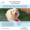 A5 Puppy class leaflet (148 x 210 mm) (1080 x 1080 px) (1).png