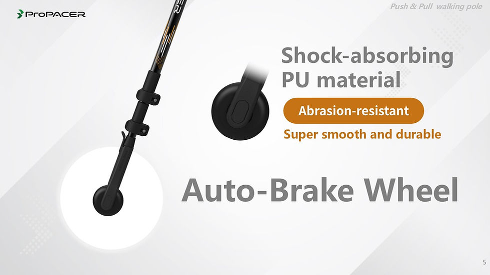Best walking poles for paved roads (2026 guide)