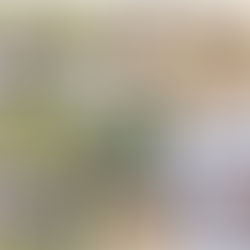 健走杖 vs 登山杖：差在哪？你可能一直用錯了