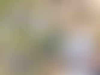 健走杖 vs 登山杖:差在哪?你可能一直用錯了