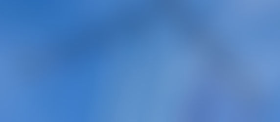 Honoring Heroes and Embracing Joyful Connection This Memorial Day