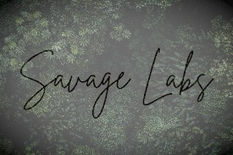 Savage Labs