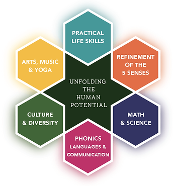 image 1 (1).png