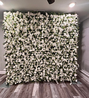 floral backdrop rental near me, floral wall rental, floral wall rental near me, flower backdrop for rent, flower backdrop rental, flower backdrop wall rental, flower wall backdrop rental, flower wall backdrop rental near me, flower wall decor rental, flower wall for rent, flower wall rentals, flower wall wedding backdrop rental, flower walls for weddings, wedding flower wall rental, Wedding flower wall rental in Houston, flower walls for rent near me, rent flower backdrop, rent flower wall, rent a flower wall, Floral backdrop rental near Houston, floral wall rental Houston Texas, floral wall rental near Pasadena, flower backdrop for rent in Pearland, flower backdrop rental in Houston, flower backdrop wall rental in Pasadena Texas, flower wall backdrop rental in Pearland, flower wall backdrop rental near Houston, flower wall decor rental in Pasadena, flower wall for rent in Pearland Texas, flower wall rentals in Houston, flower wall wedding backdrop rental in Pasadena,