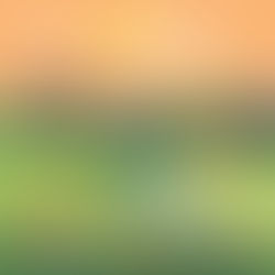 AI Generated image of a stream rushing towards a mountain landscape. Bright red and yellow flowers spot the grass. A small cottage and tent sit near the stream.