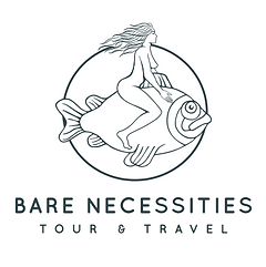 Bare Necessities Logo