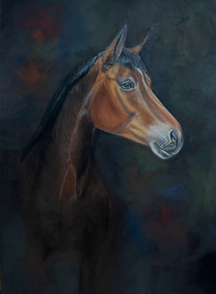 Portret paard