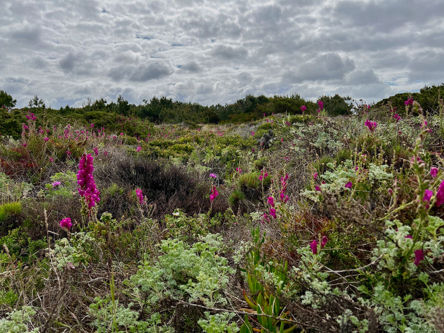 Portugal 2022 38.jpg