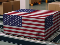 The Benefits of Section 321: Streamlining Customs Procedures for Importers