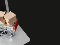 The E-Commerce Tsunami: The Evolution of Logistics