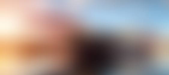 The World of Freight Carriers: Choosing the Right Option for Your Business