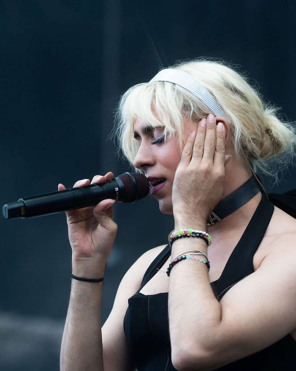 Rainbow Kitten Surprise