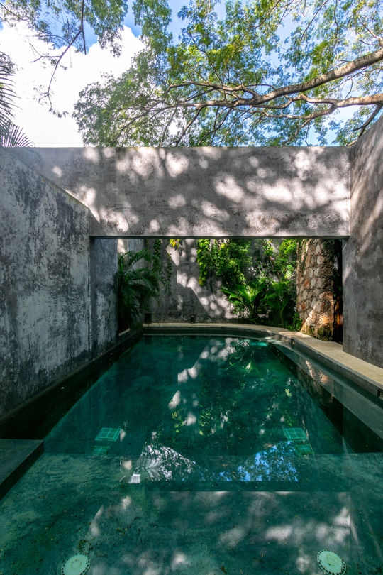 Casa Hormiga