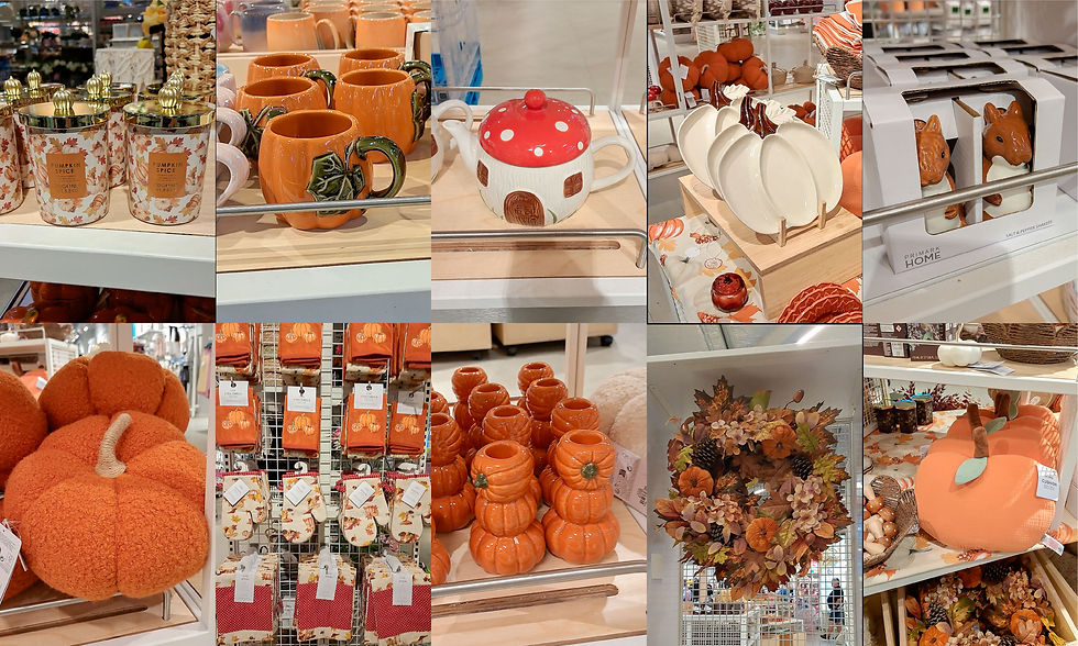 Collage van foto's van het Herfst assortiment van de Primark
