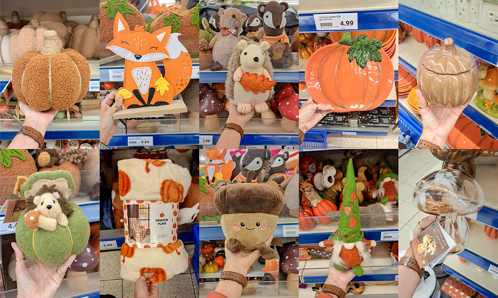 Collage van foto's van het Herfst assortiment van de ACTION