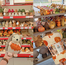 Winkels voor leuke herfstdecoratie