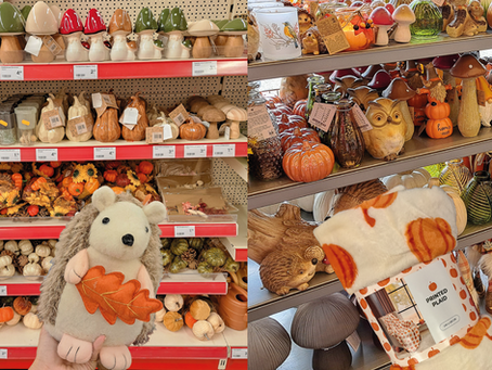 Winkels voor leuke herfstdecoratie