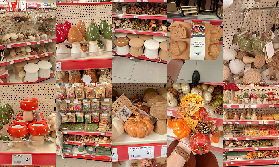 Collage van foto's van het Herfst assortiment van de Wibra