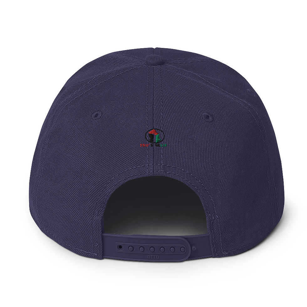 Thumbnail: Snapback Hat