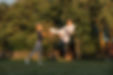 _N1A9537.jpg