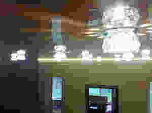 image (11).jpeg