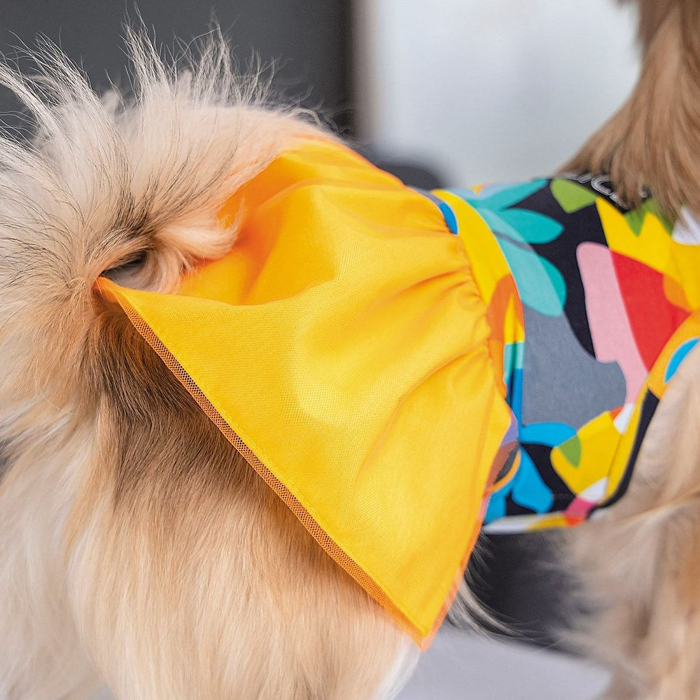 Прев'ю: Сукня Pet Fashion «Sun» для собак розмір M жовта