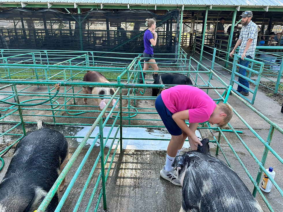 Ian prepping a pig