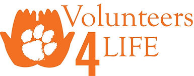 culife-volunteers.jpeg