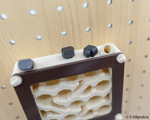 Hybrid Nest type wall ・壁掛タイプ・medium | s-tillandsia