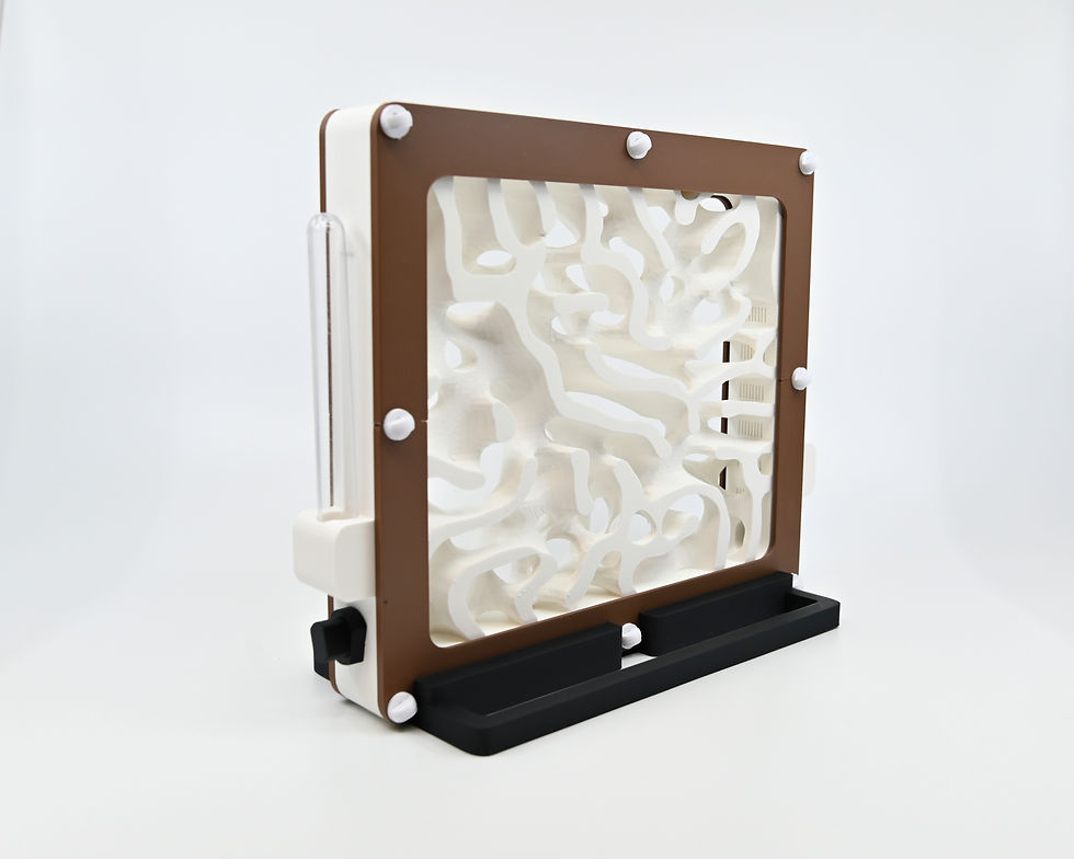 Thumbnail: Hybrid Nest 2 Side type I・ Large