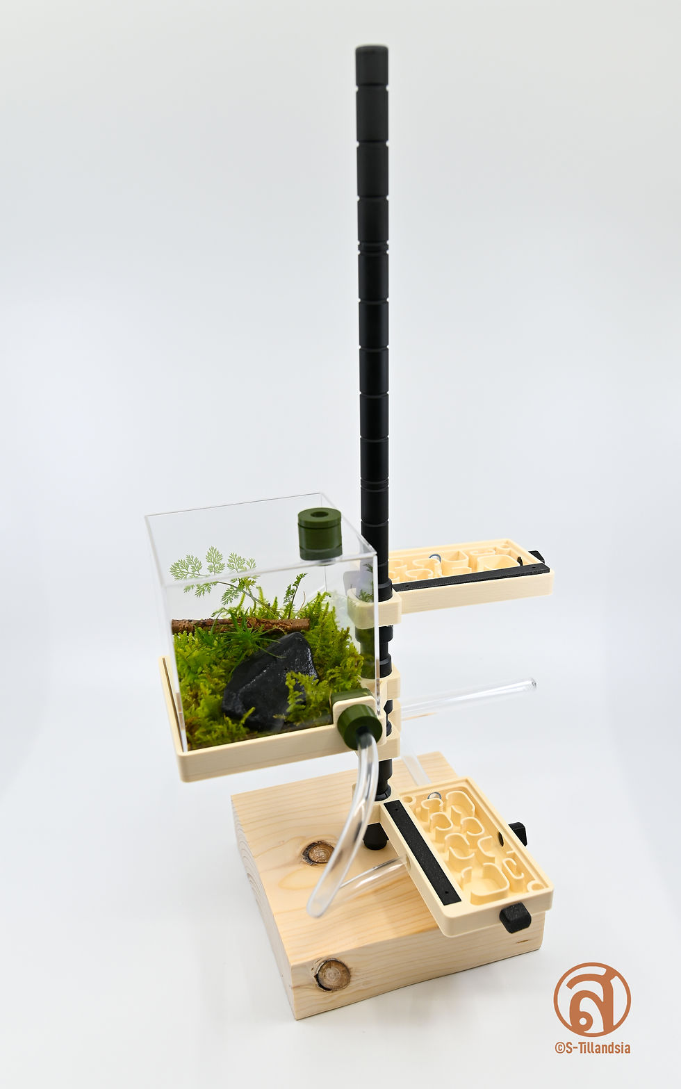 Thumbnail: Outworld type Tower ・ Outworld feeding ground for type towers