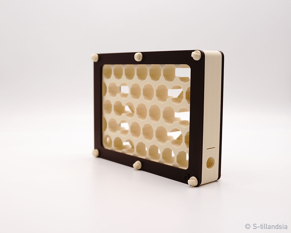 サムネイル： Hybrid Nest 2 Side type G ・ Medium