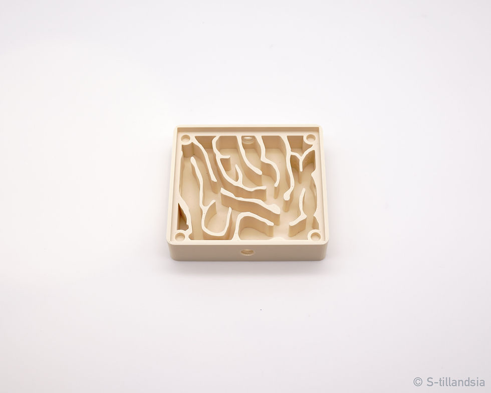 Thumbnail: Hybrid Nest type D