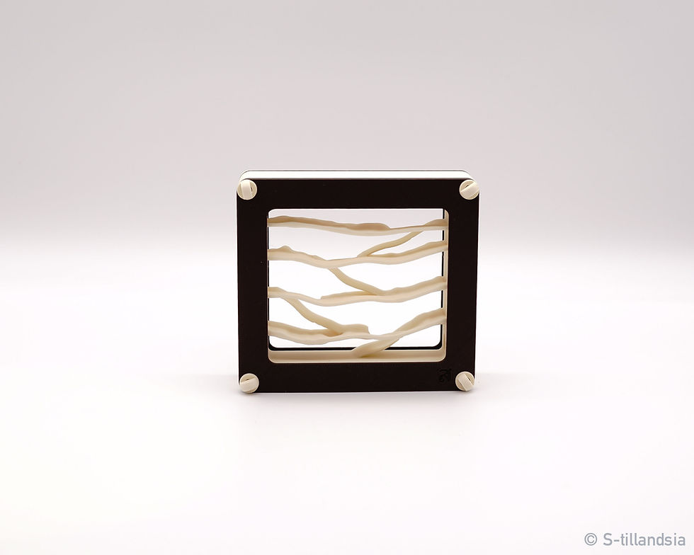 サムネイル： Hybrid Nest 2 Side type ・ small